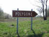 Schild